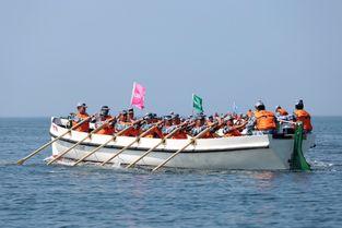 舢舨在线观看,穿越时空的航程，在线观看带你领略历史风华