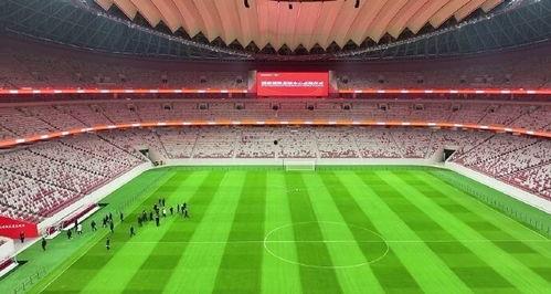 西安足球场爆料视频最新  第1张